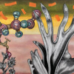 Marthe Zink- PFAS Pollution